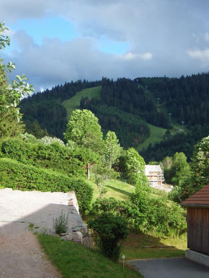 Au Grenier Du Lac Gérardmer Exterior foto