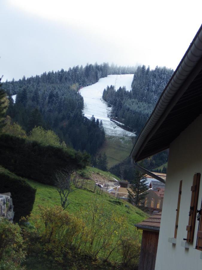 Au Grenier Du Lac Gérardmer Exterior foto
